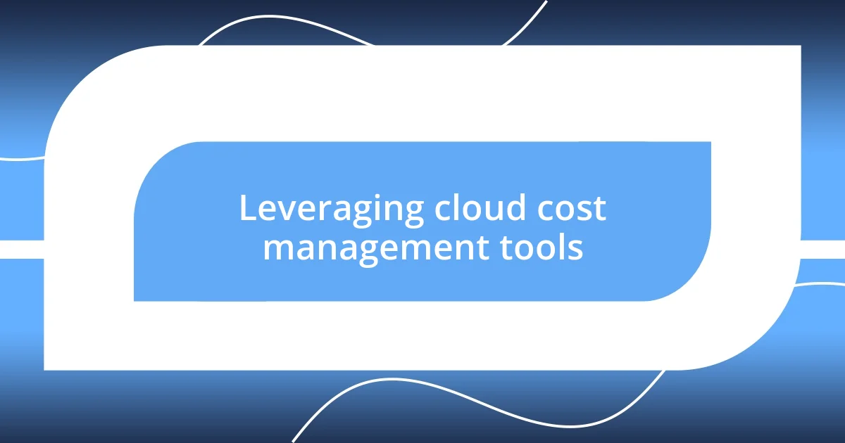 Leveraging cloud cost management tools